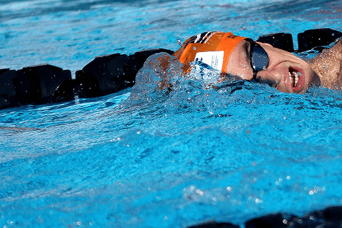 Cópia de 8N8A0951 1 (1)