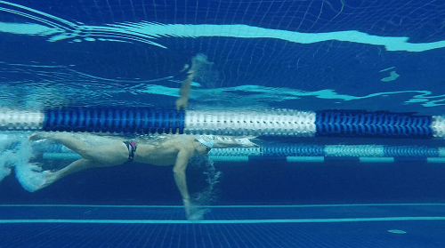 Cópia de imagem subaquática (1) (1)